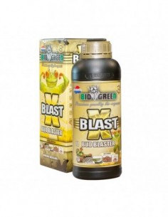 Xblast 1L