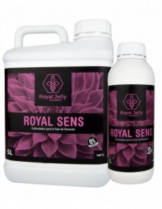 Royal Sens 5L 2