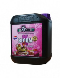 Xbloom 10L 2